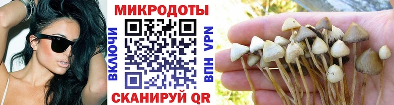 купить наркотики цена  Котовск  Псилоцибиновые грибы ЛСД 